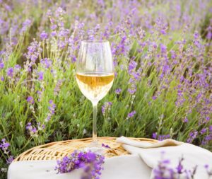 Regent Gourmet Explorer Tour in Provence France