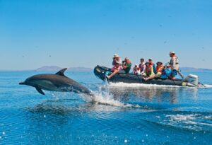 Lindblad-National Geographic Expedition in Baja