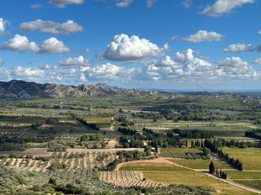 Vineyards of Provence, AmaWaterways Cruise